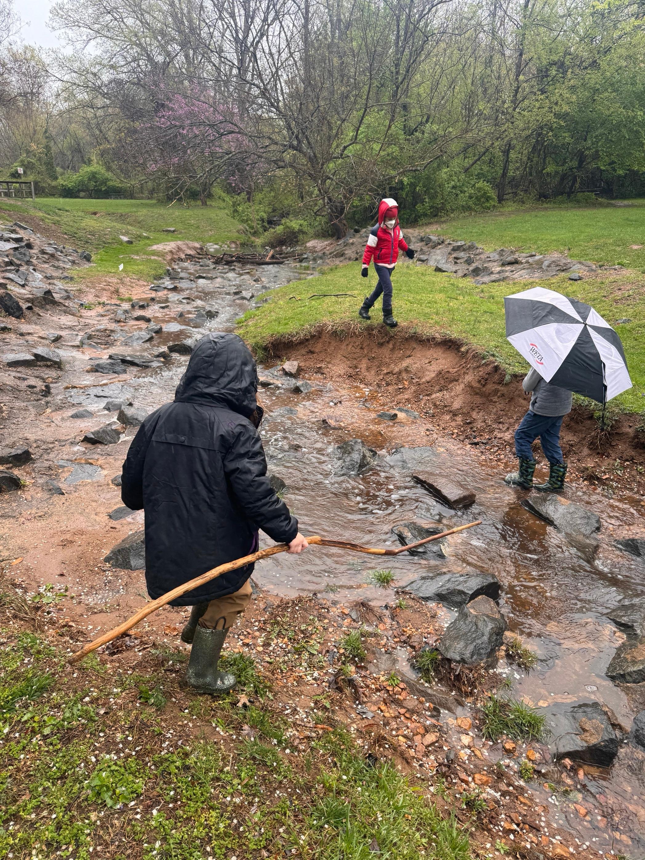 Waterway Hike.jpg