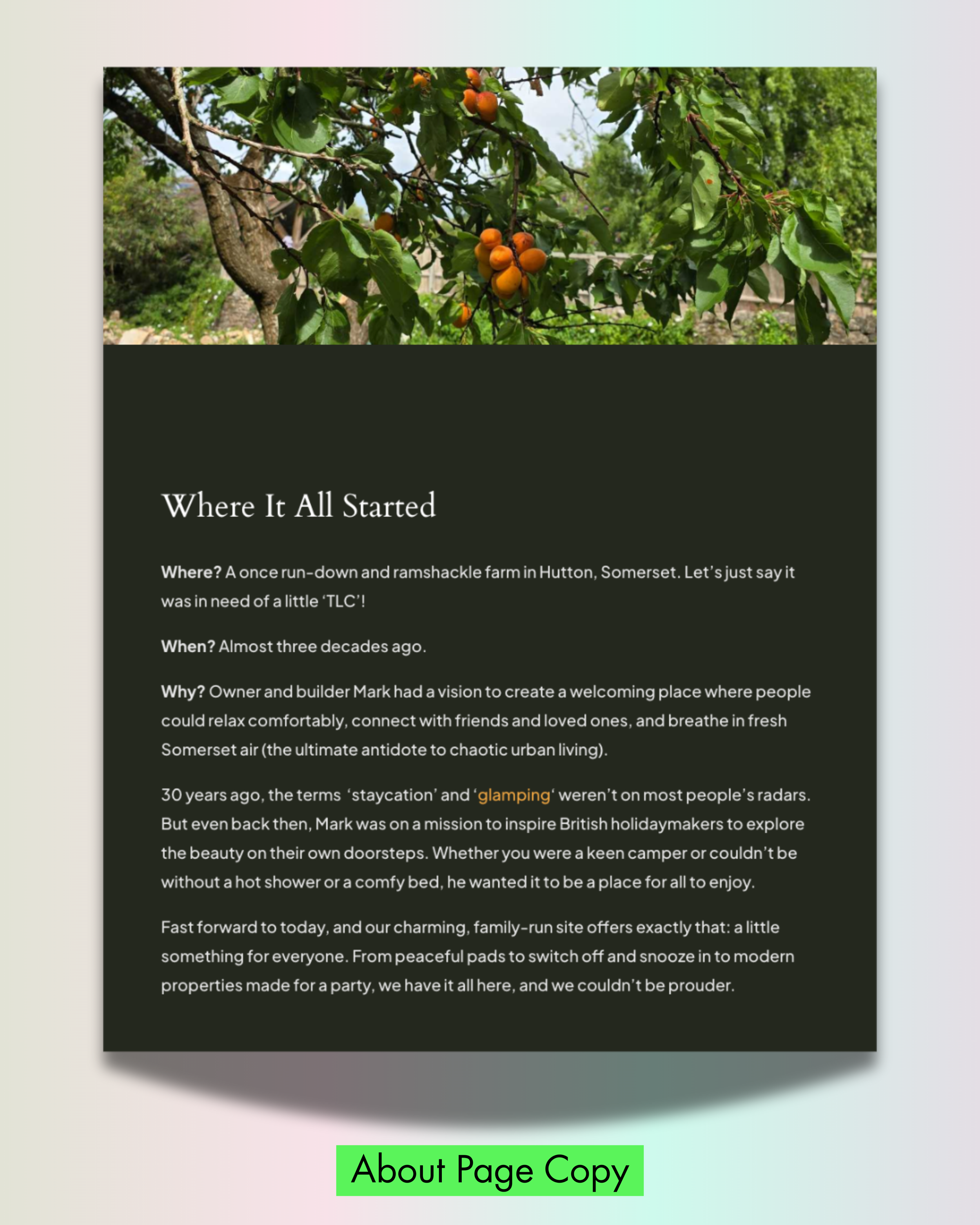 A webpage with a header image of an apricot tree with ripe apricots, followed by a text section titled 'Where It All Started' discussing a farm in Hutton, Somerset. The page has a green button at the bottom labeled 'About Page Copy'.