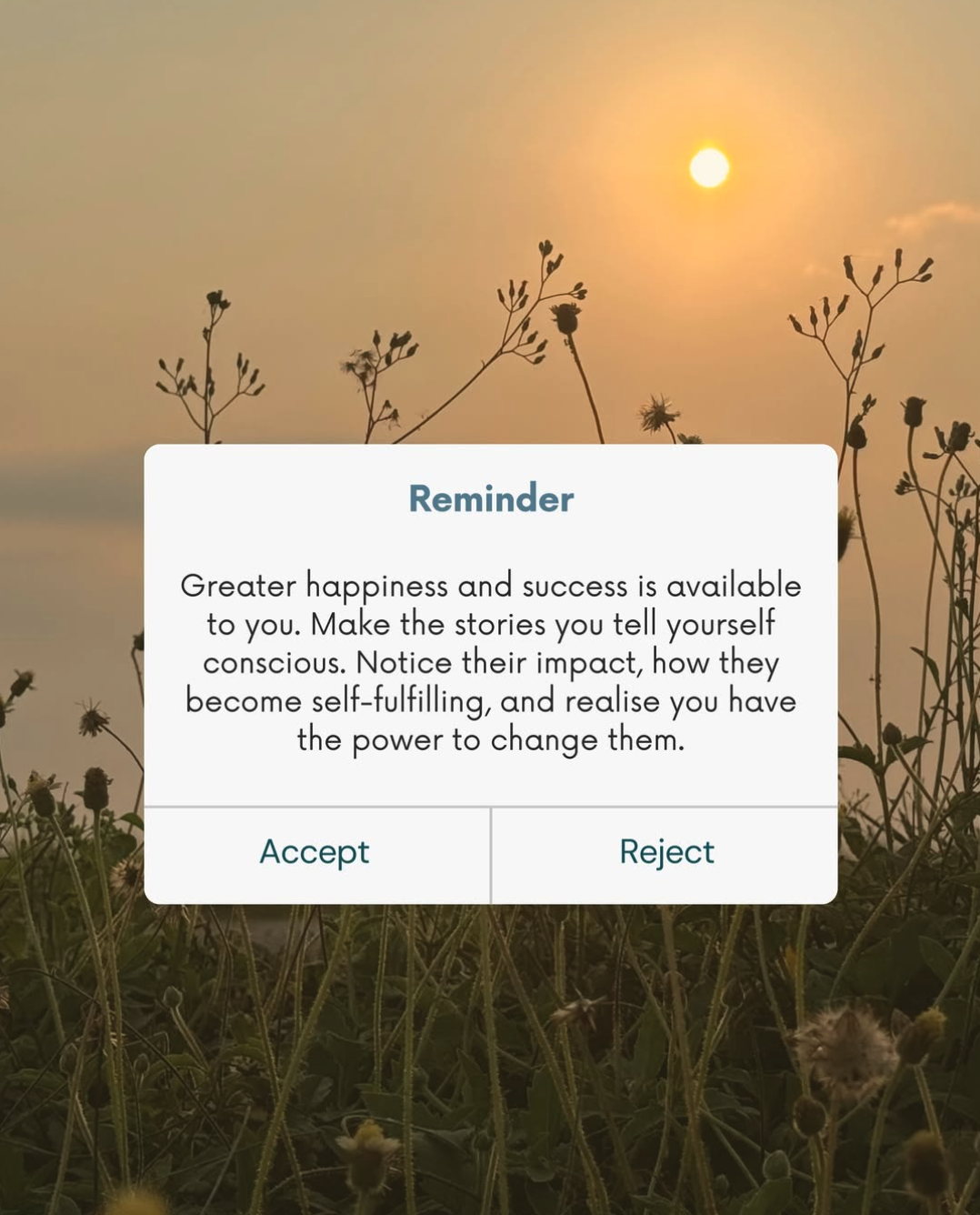Screenshot 2026-05-18 at 12.20.35.png