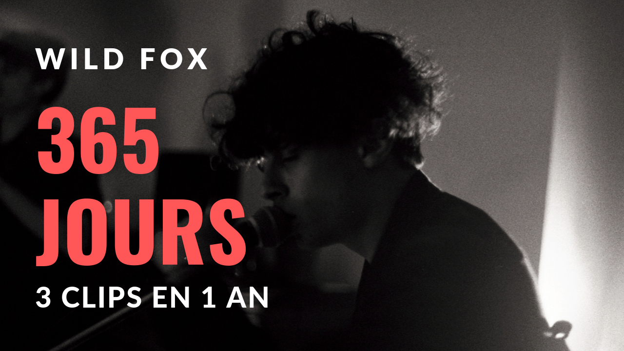 Wild Fox : behind the scenes (Documentaire, 12', 2019)