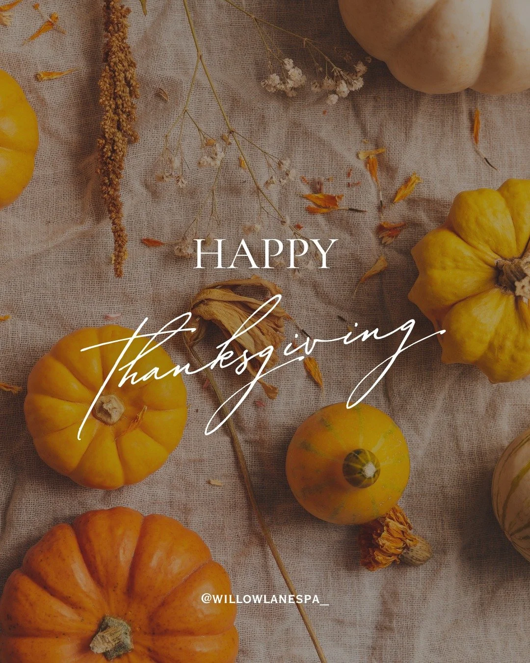 Happy Thanksgiving from all of us at Willow Lane Spa! We&rsquo;re so grateful for our amazing clients and the joy you bring into our space every day. Wishing you a day filled with love, gratitude, and a little self-care.🦃🧡