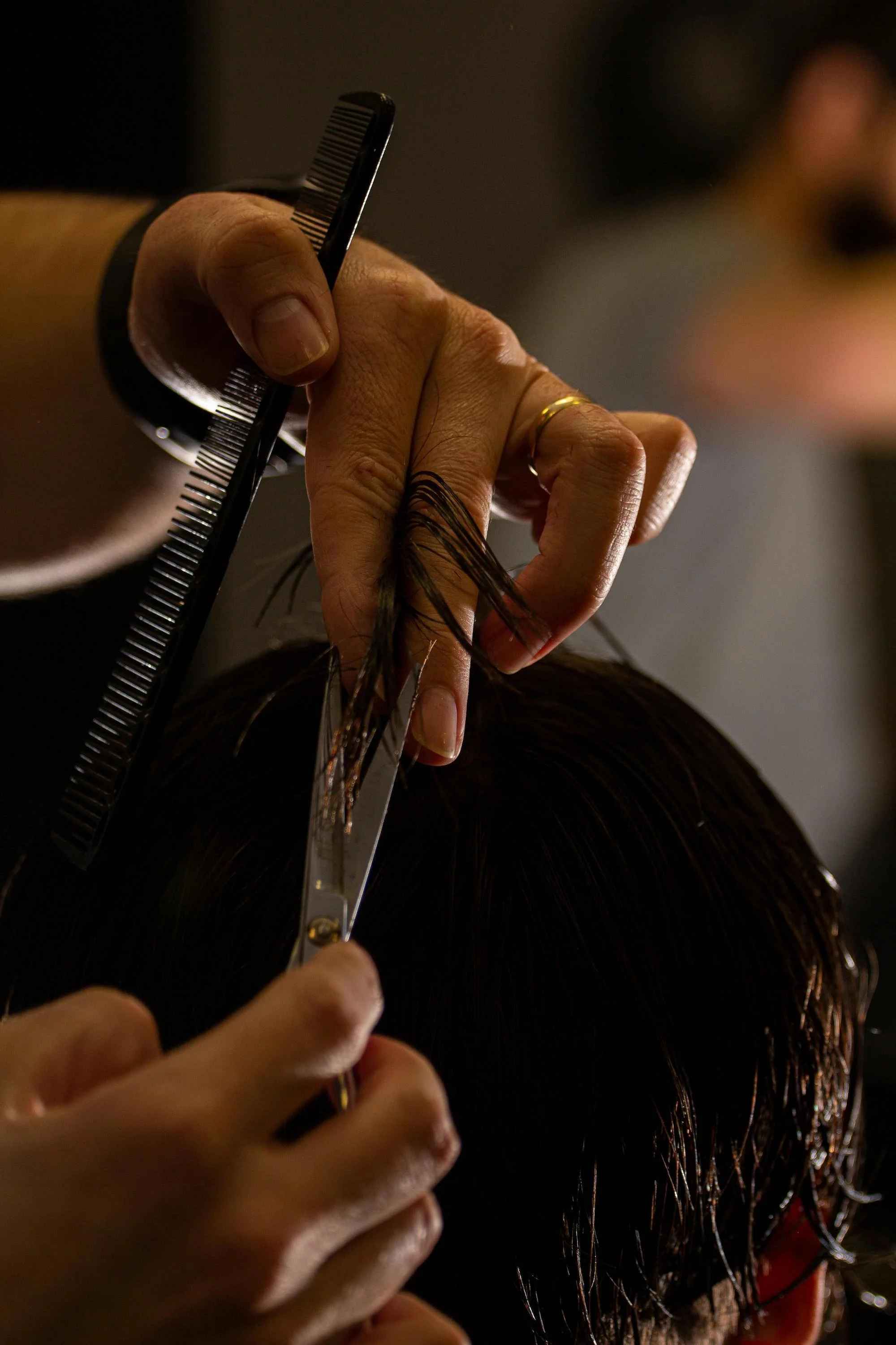 closeup of stylist cutting a client's hair; professional haircuts hair styling near me Litchfield, IL