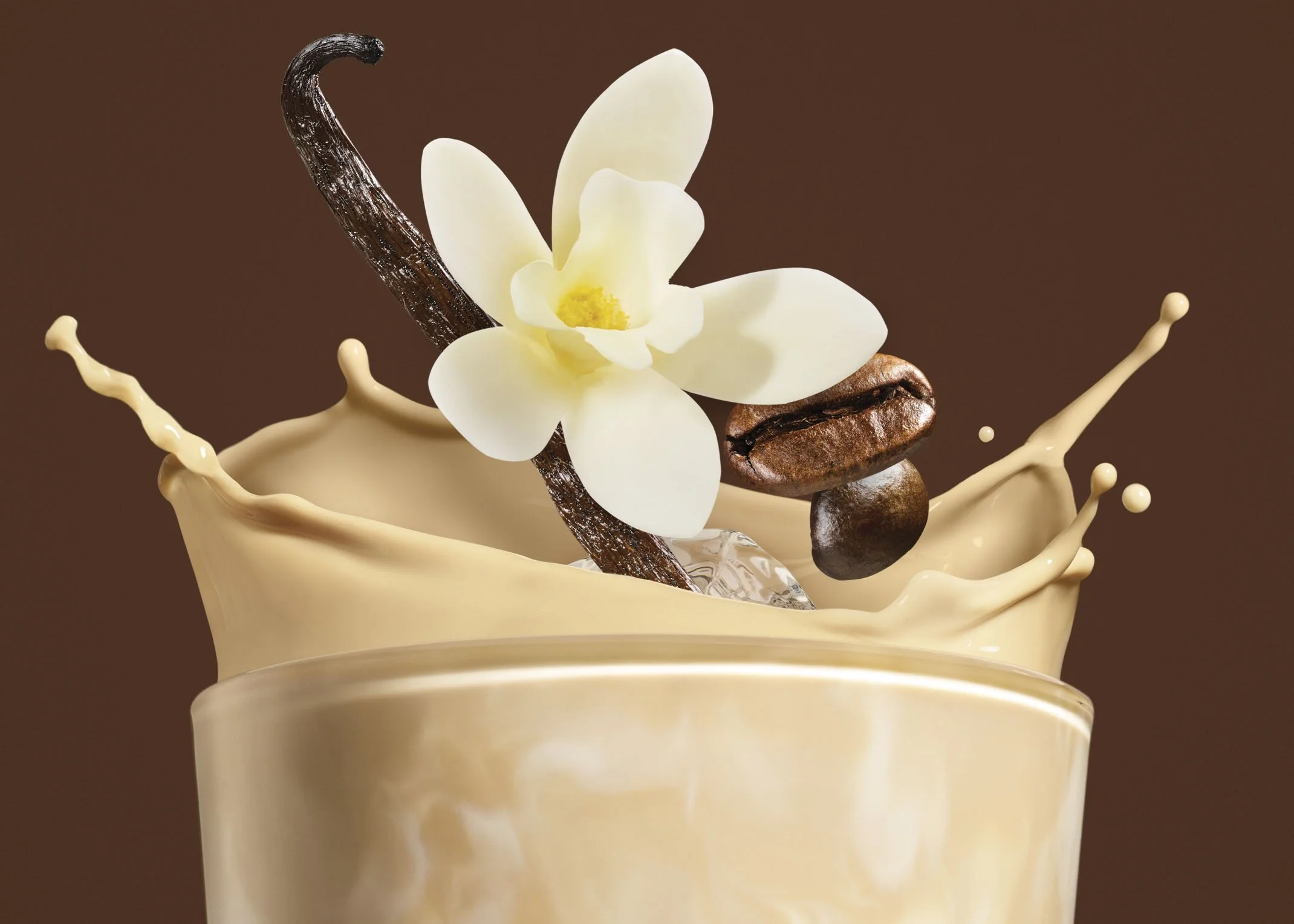 A splash of white chocolate with vanilla flower, coffee beans, vanilla pod, and white chocolate drizzle in a cup against a brown background.
