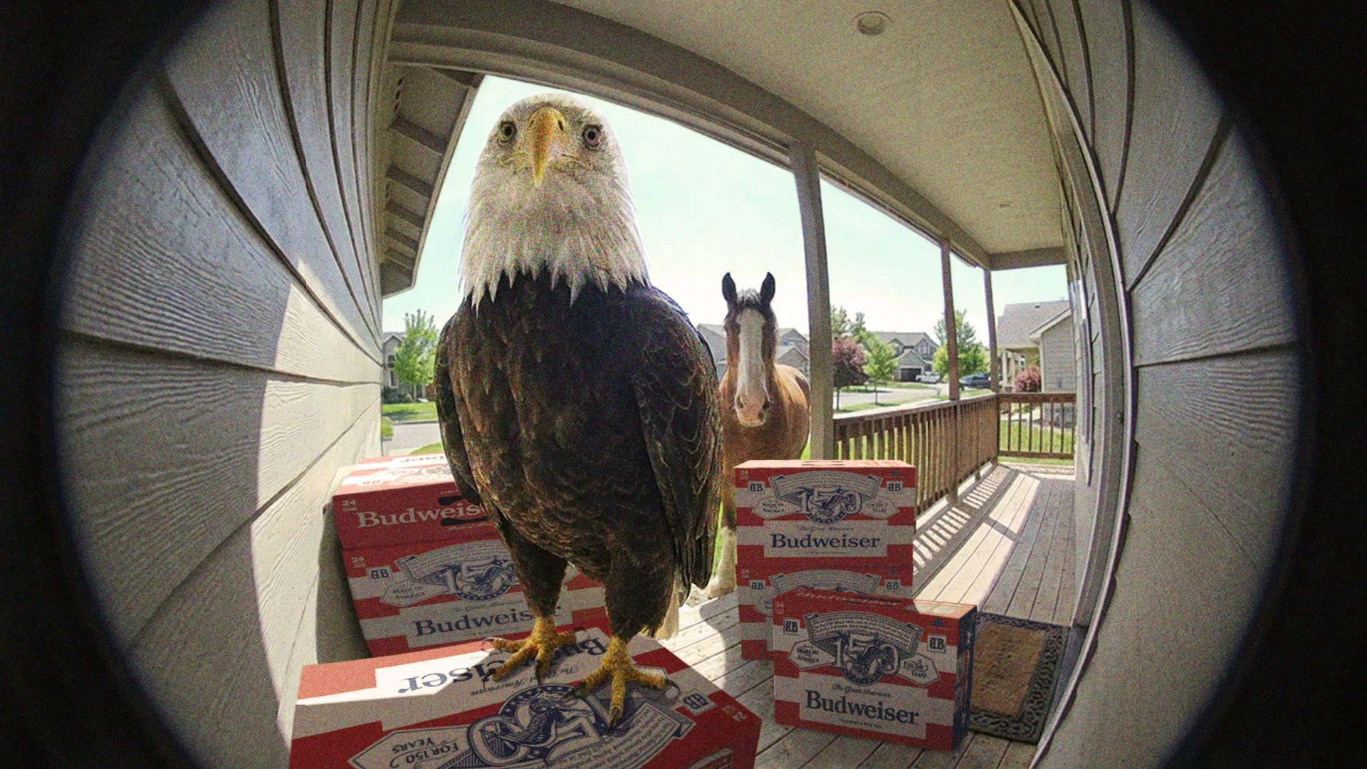 2 - EAGLE CLOSE UP.jpg