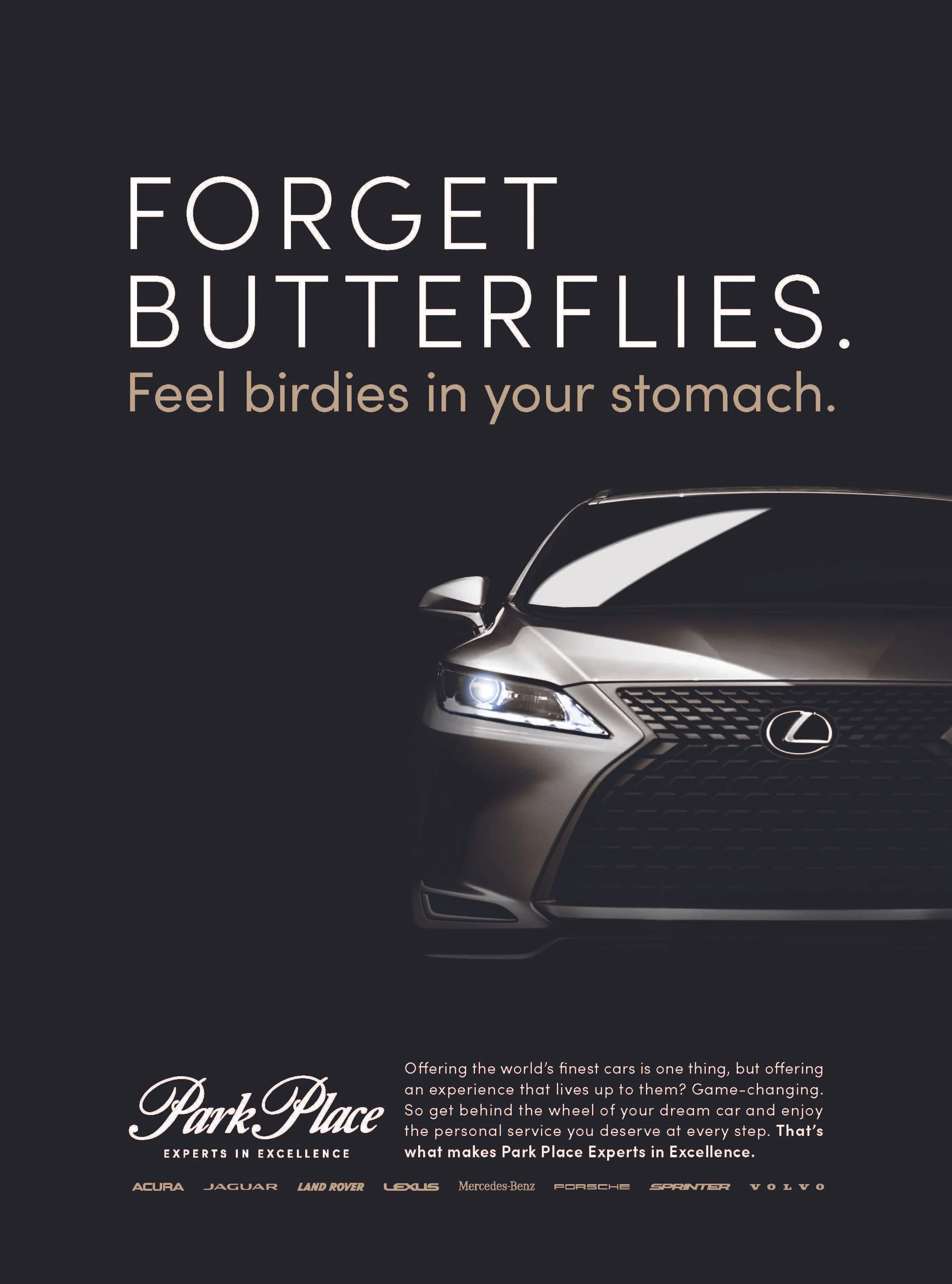 Park Place Forget Butterflies.jpg