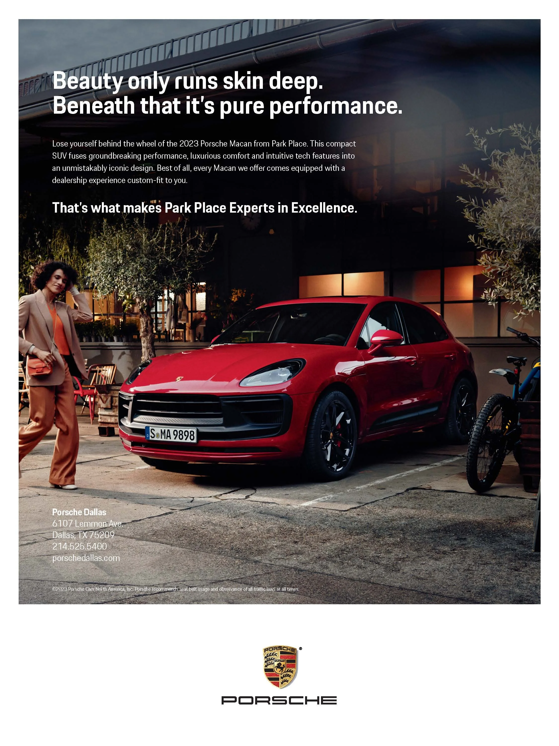 Porsche Skin Deep.jpg