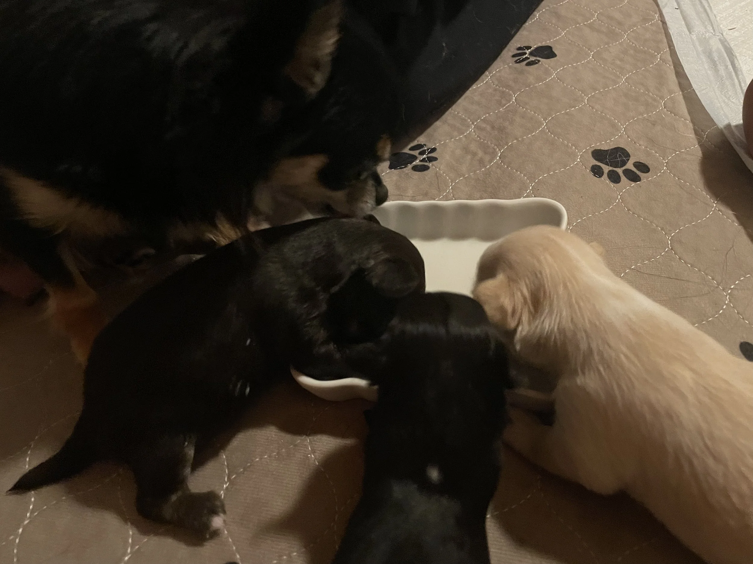 First interest in mom's snack