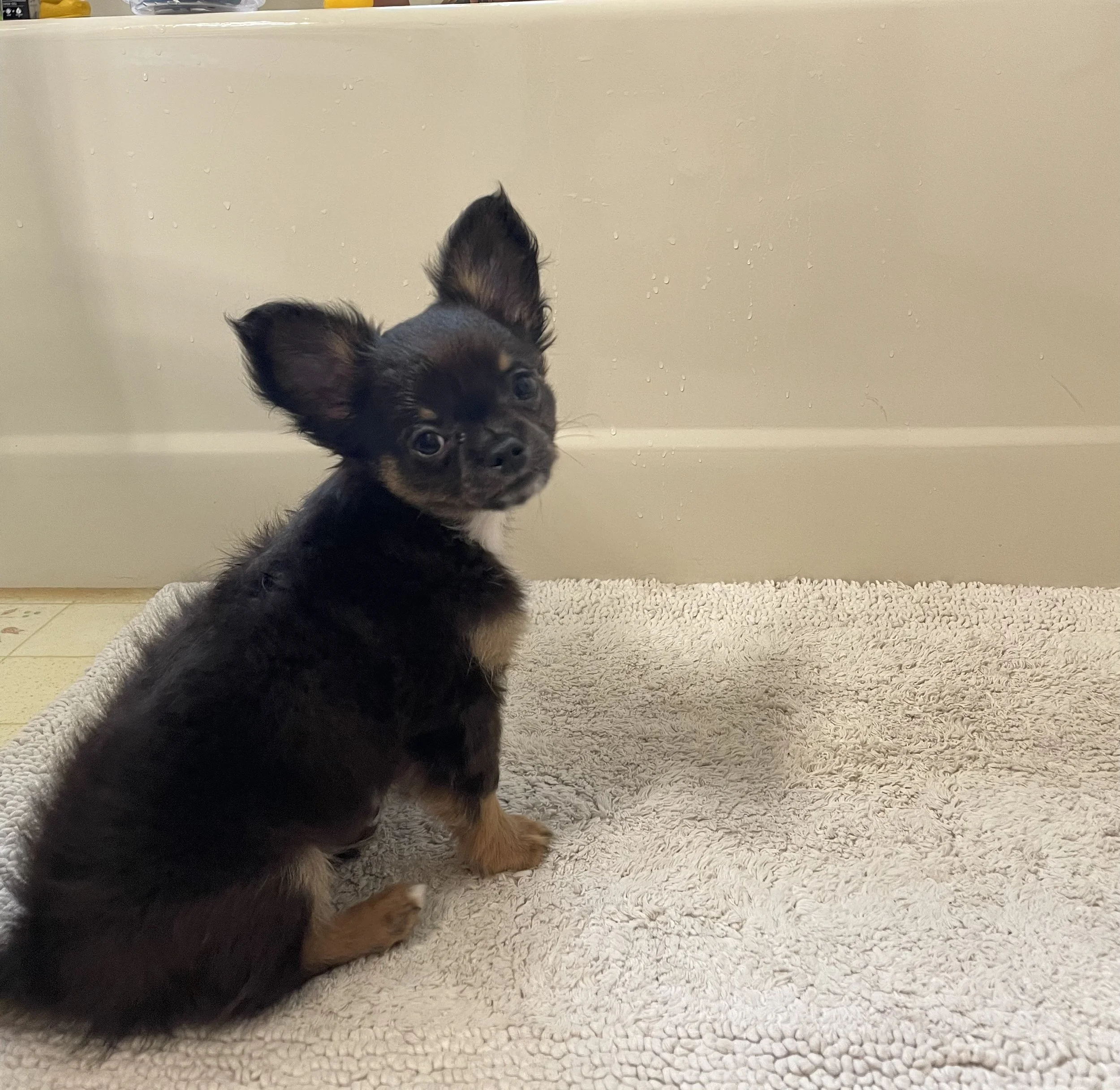 Hanging out in the bathroom
