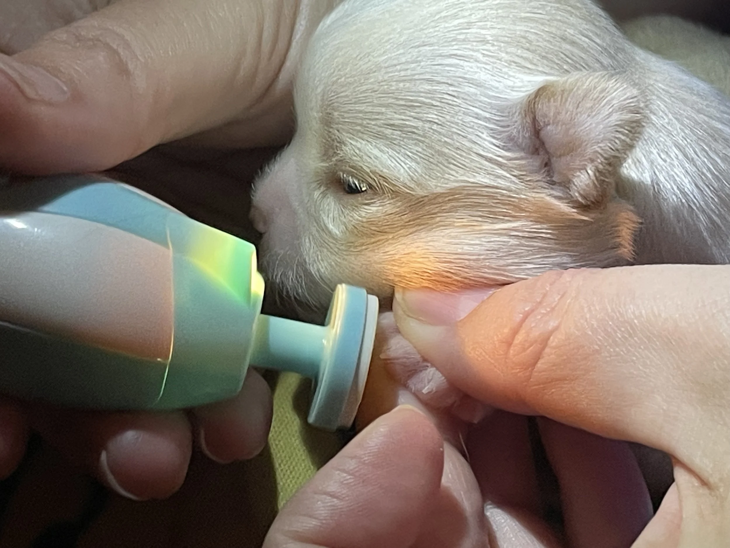 First mani pedi