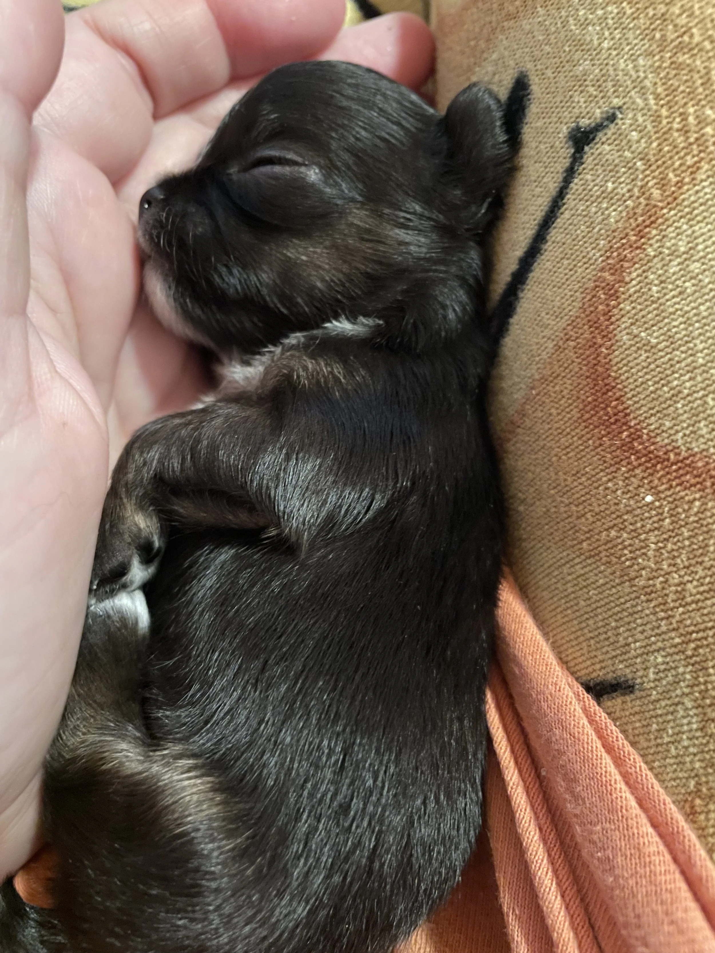 So tiny