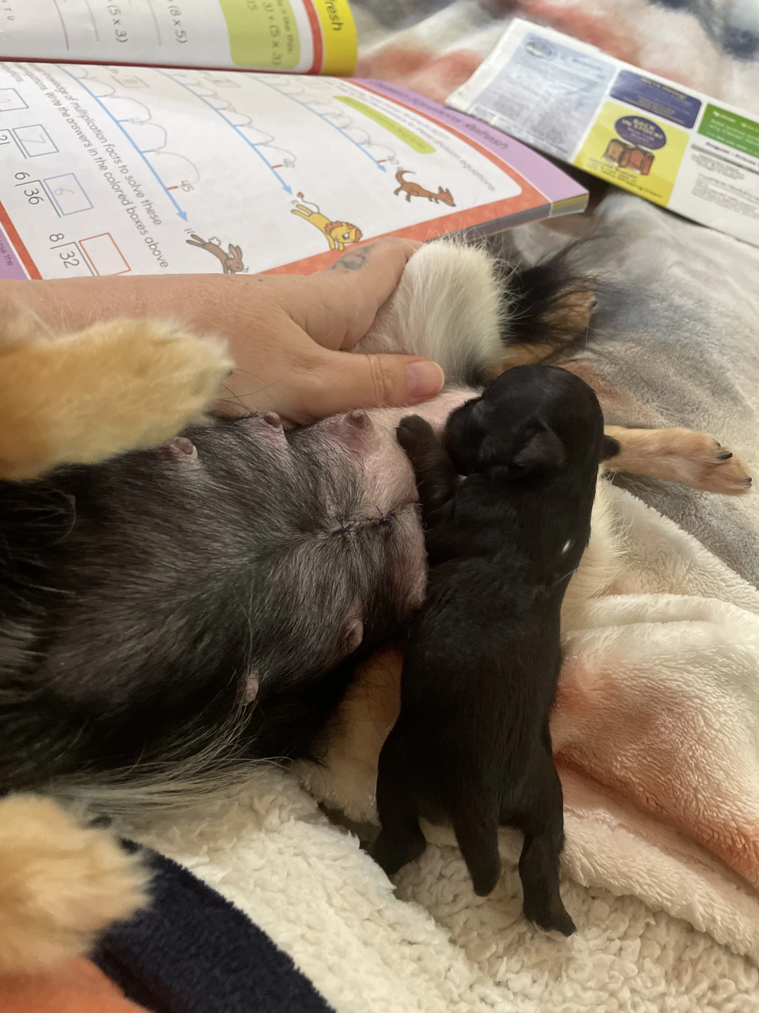 Tiny girl gets extra time with mom
