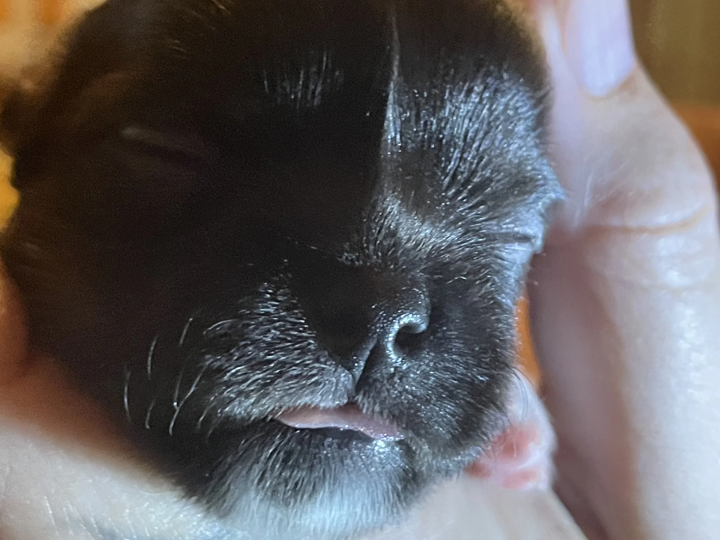 Just so cute