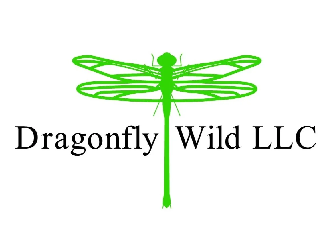 Dragonfly Wild LLC