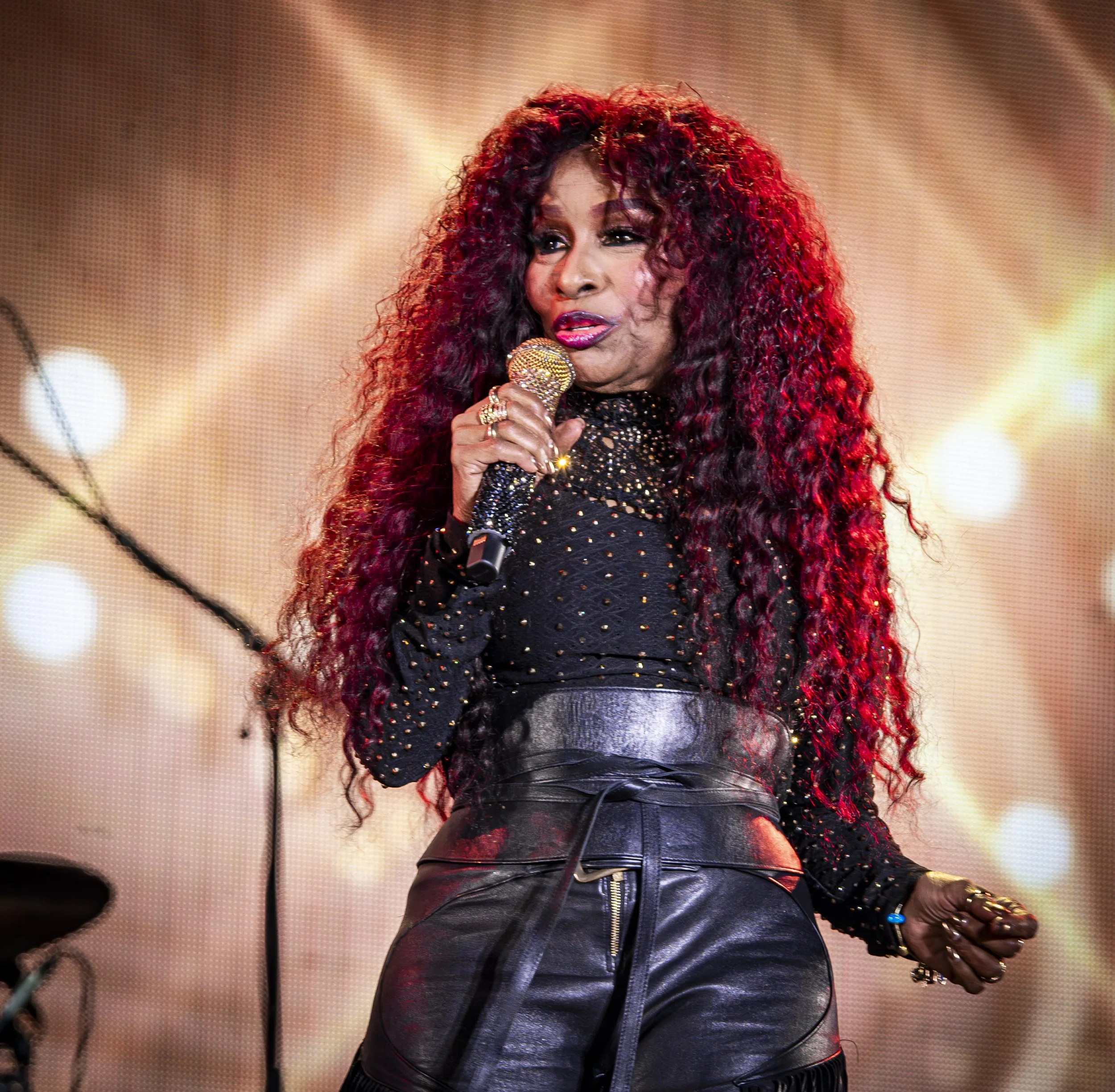 Chaka Khan, Radio 2 - Stirling in the Park, 12th September 2026 (c) Stephen Wilson Photography-19.jpg