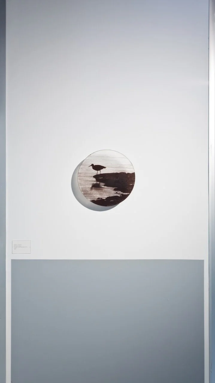 Alyssa Salomon, HCCC (photo: Eric Hester)