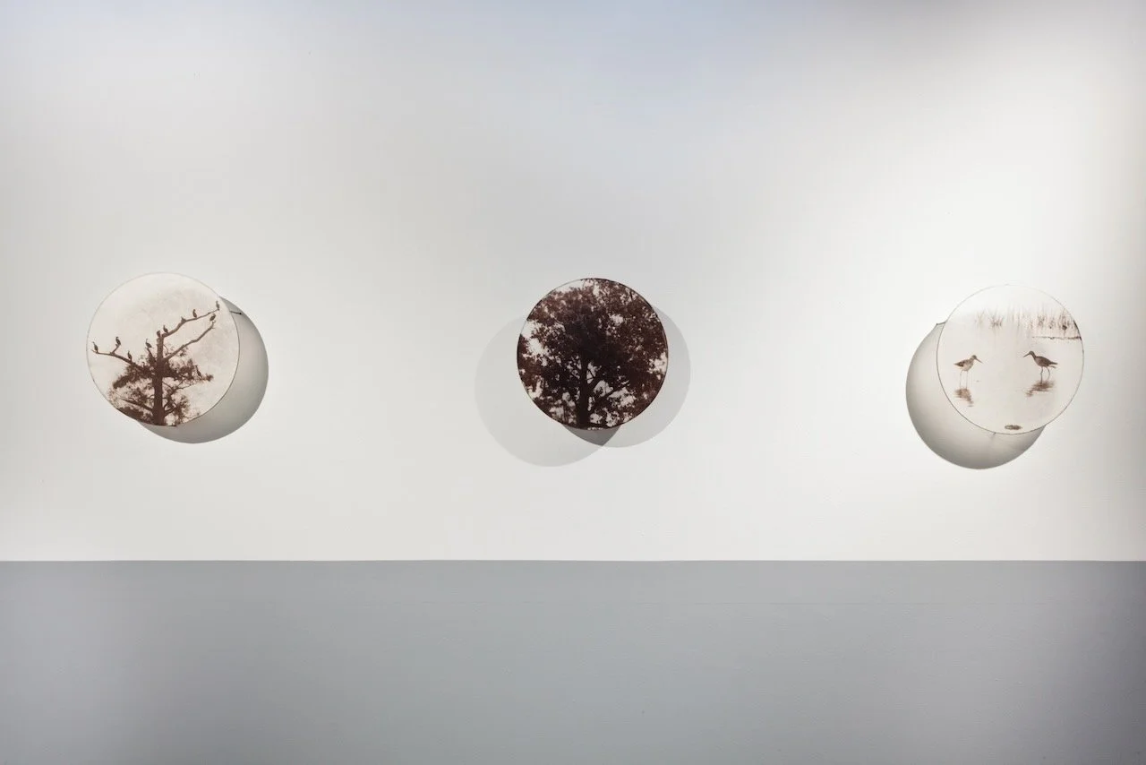 Alyssa Salomon, HCCC (photo: Eric Hester)