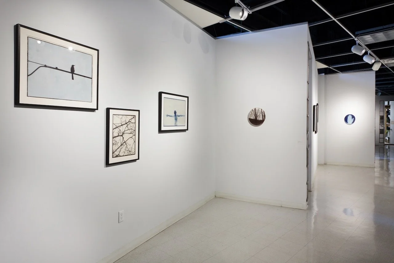 Alyssa Salomon, HCCC (photo: Eric Hester)