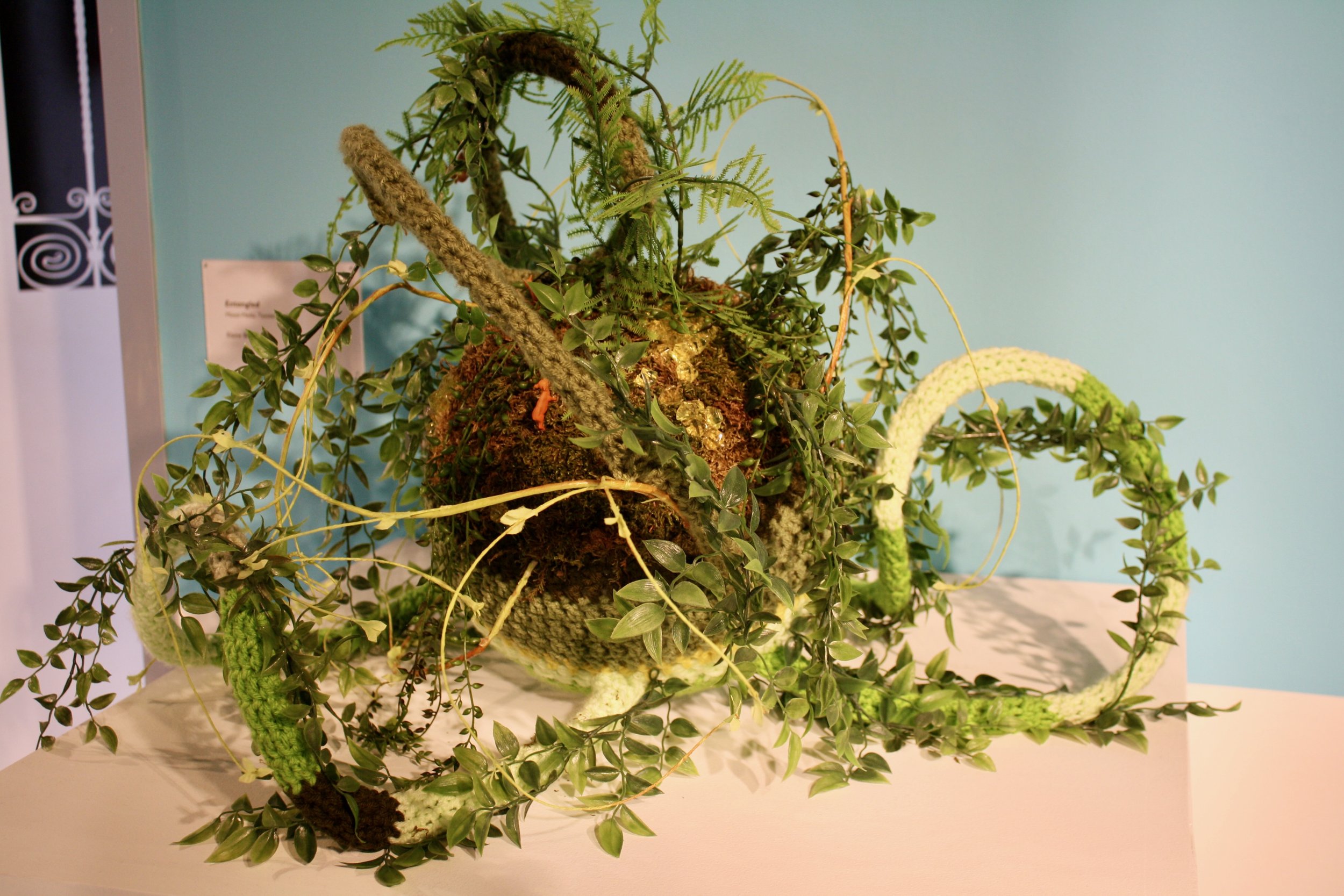 Elaine Bradford, 2010 (photo: HCCC)