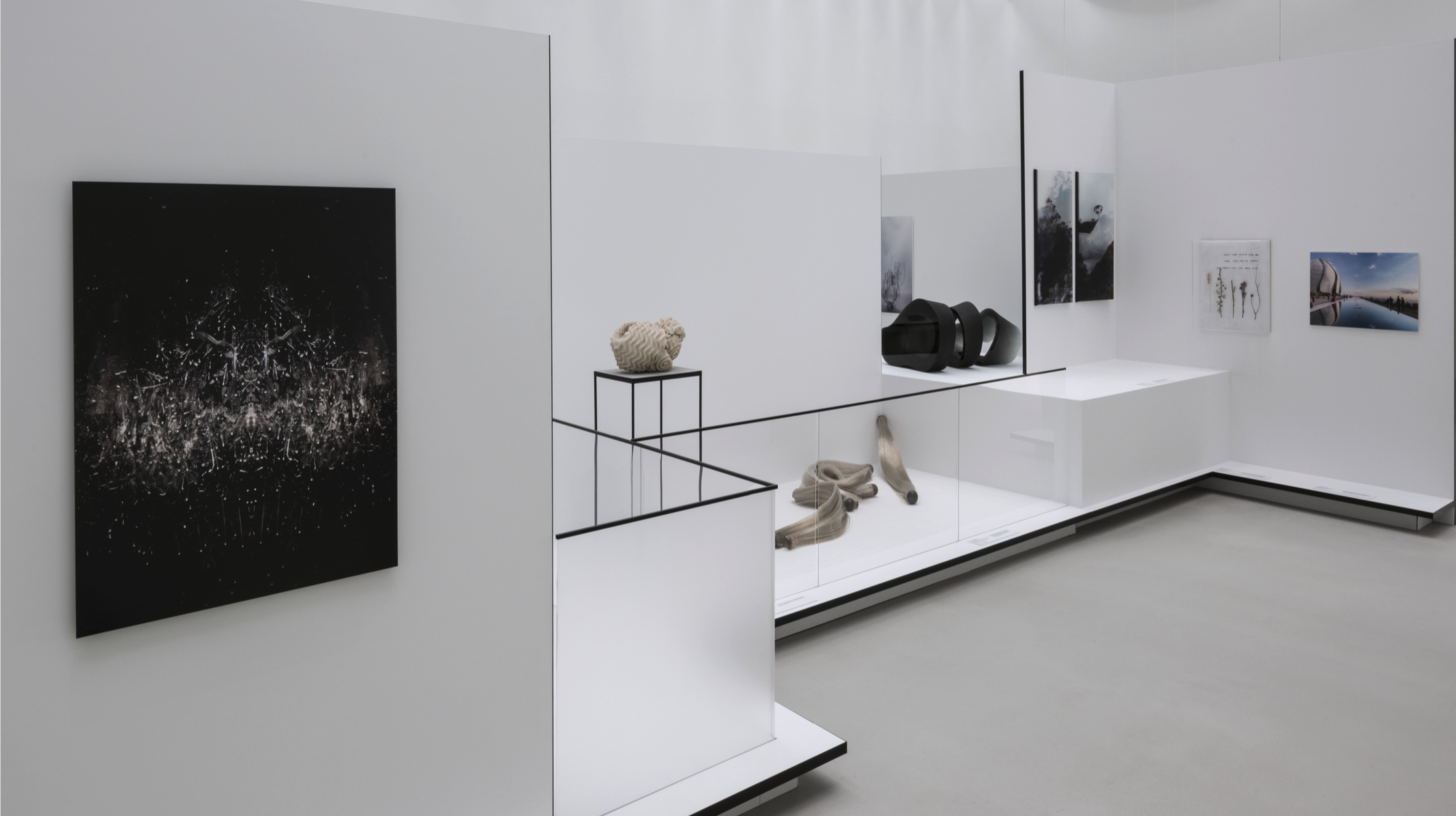 Screenshot 2023-08-14 at 10.16.00 AM.png