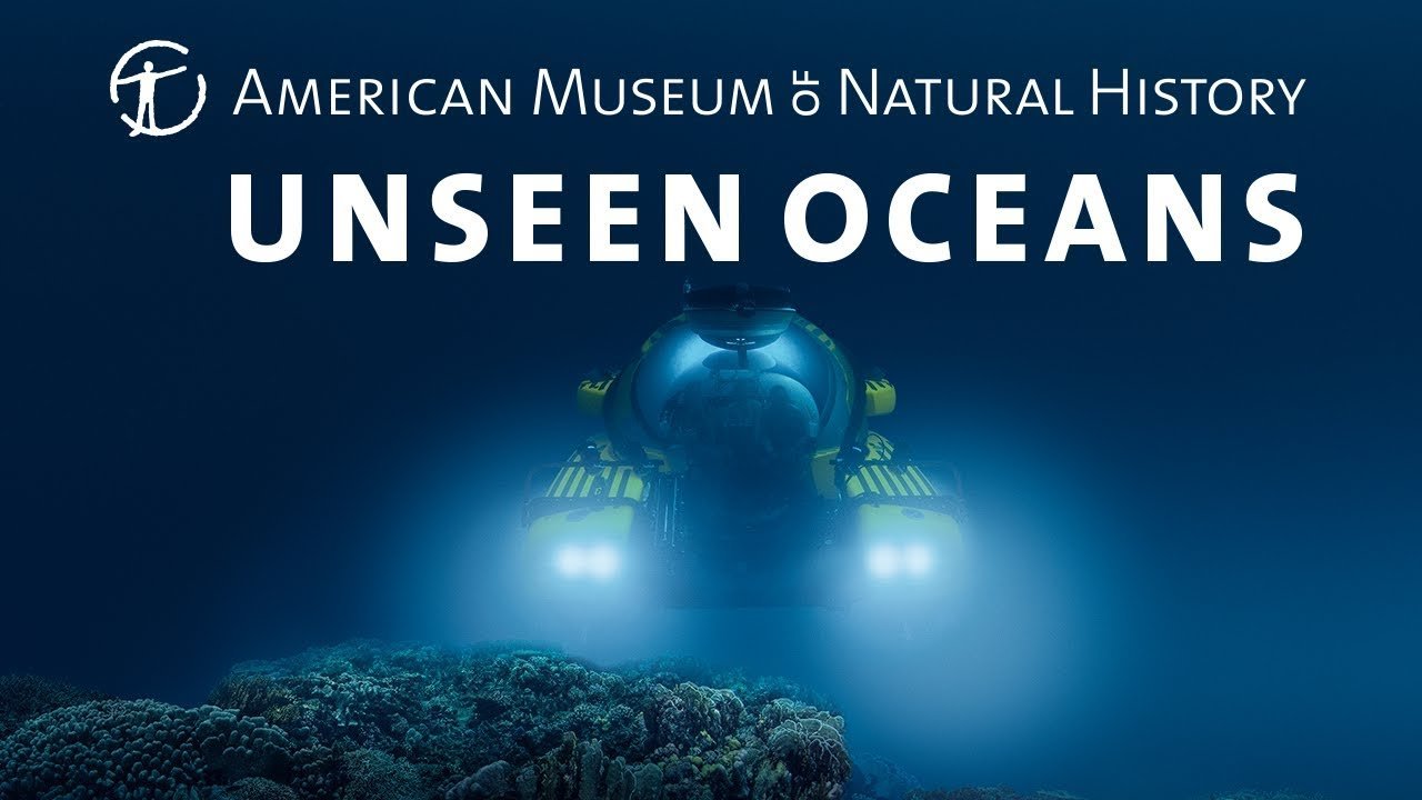 Unseen Oceans at the American Museum of Natural History, large scale spatial sound design and music.