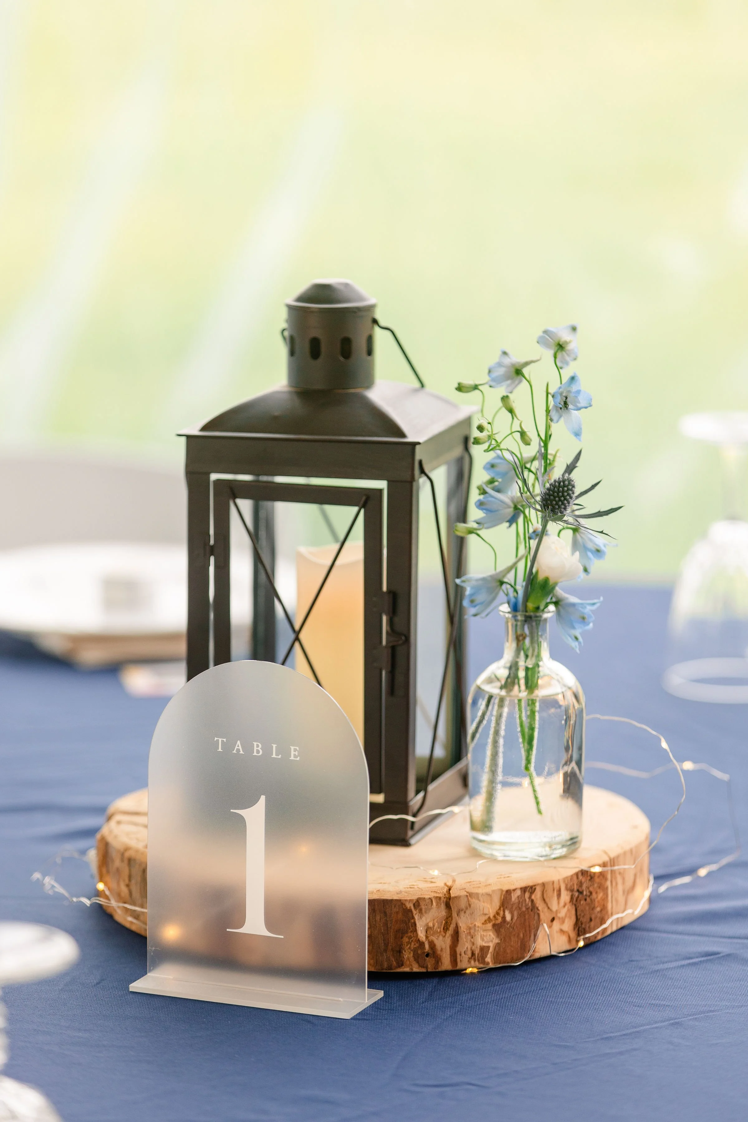 Hazel and Jordan 5.jpg