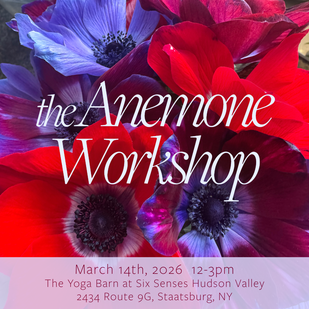Anemone Botanical Watercolor Workshop