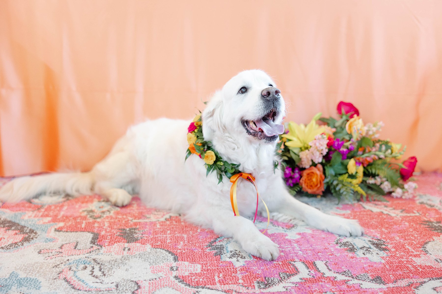 Flowers for fur babies...AND flower girls. Say what!?!

All of our floral crowns are made with an adjustable ribbon tie, which also makes them perfect for your Best Doggo too!

🐾 🌸 🐶 💖

Featured Collection: Citrus Charm

Your Flower Besties have 