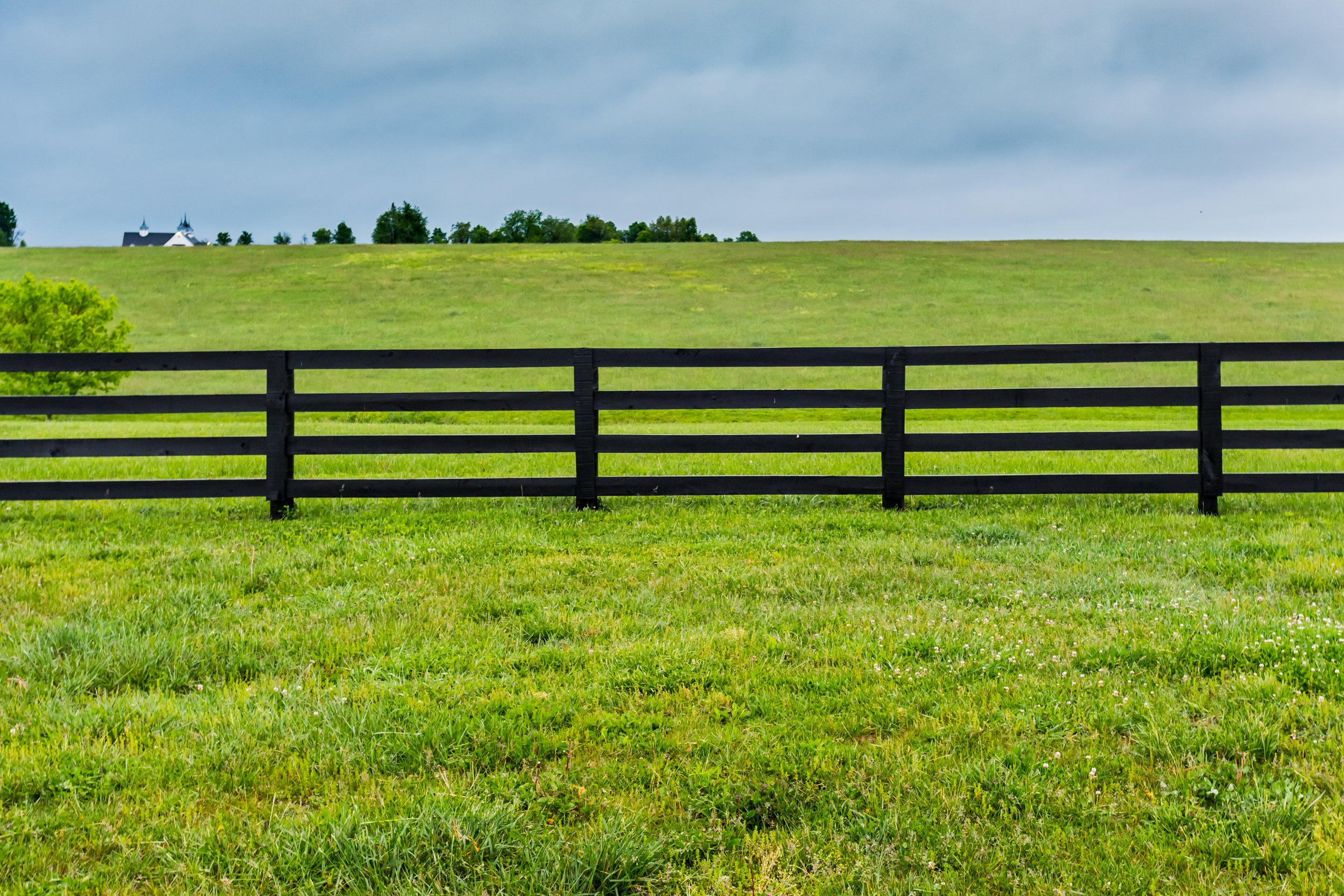 AdobeStock_171189768.jpeg