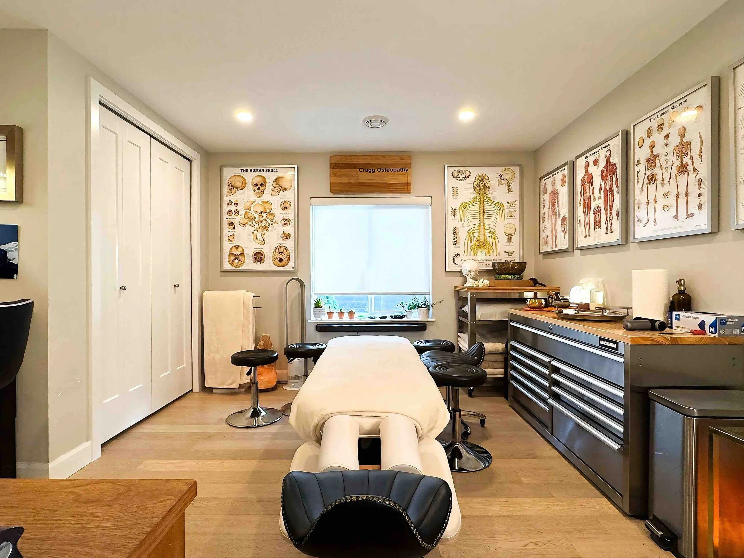 Medical examination room with an adjustable massage or chiropractic table in the center, surrounded by stools and medical posters on the walls, including an anatomical chart of the human skull and skeleton, and a window with small plants on the windowsill.