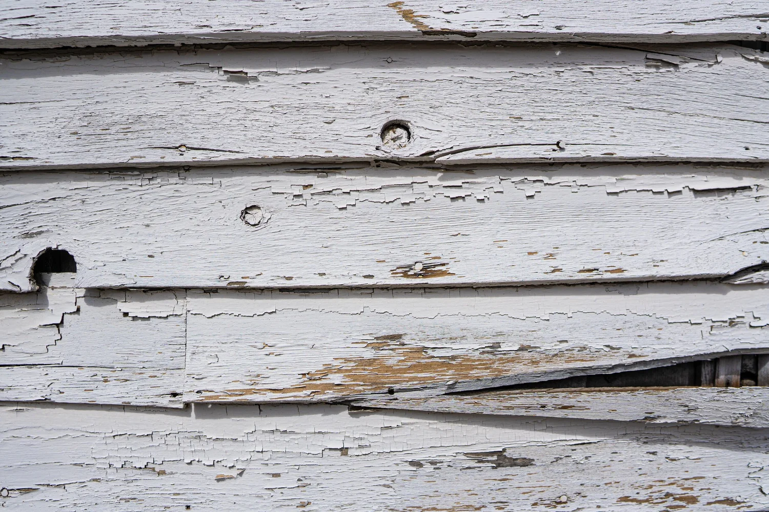 Home Rot & Damage Repair, Bellingham, Wa — LJS Services