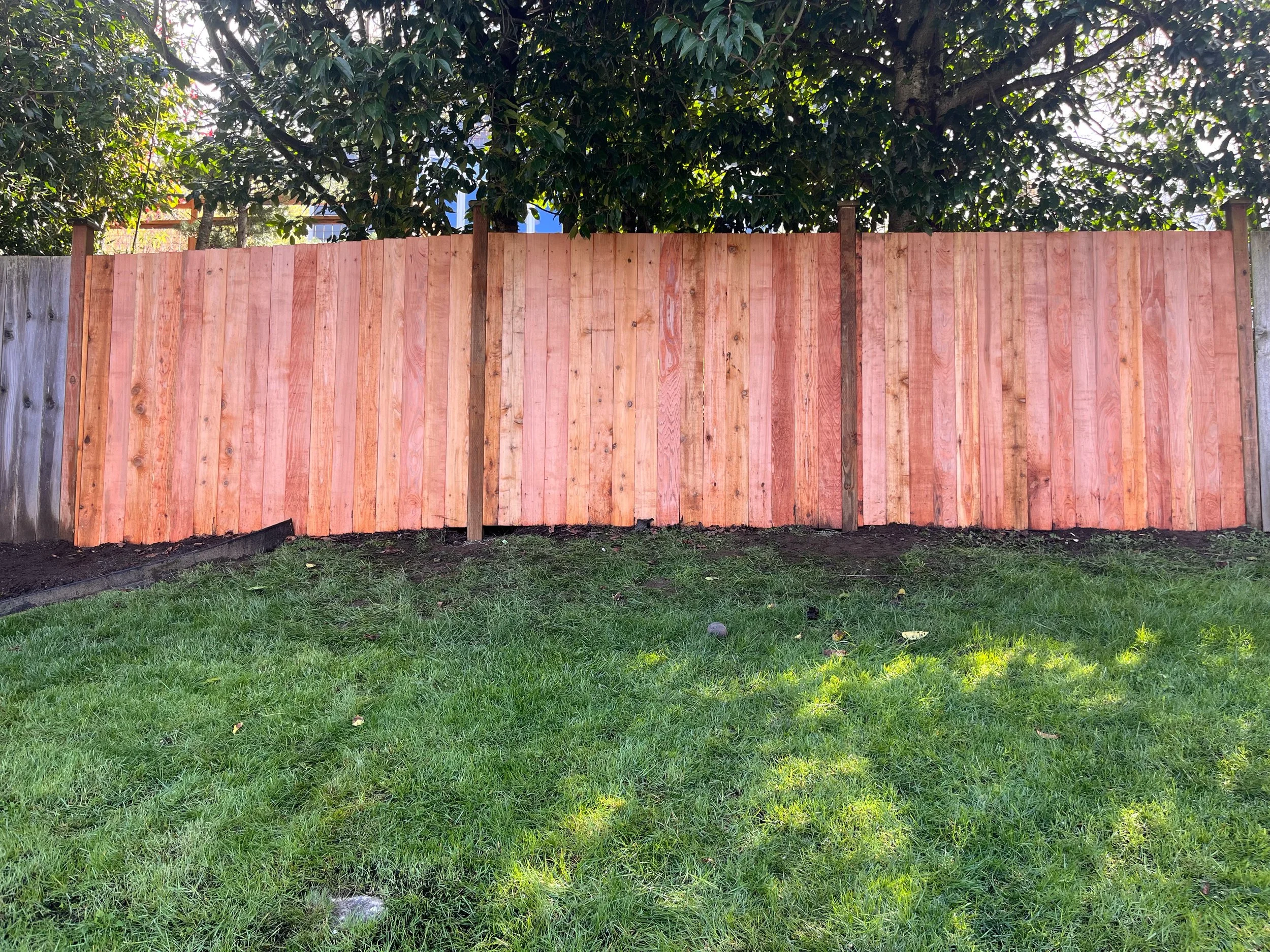 Cedar Fence Replacement