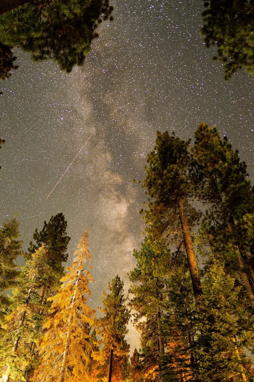 Milk Way from Fallen Leaf campground