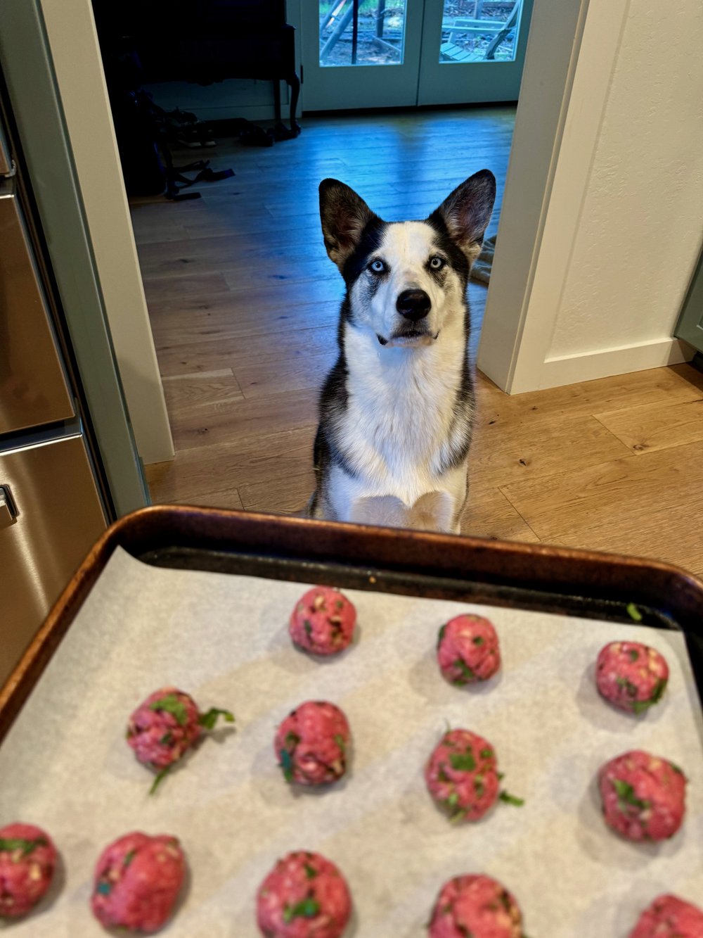 Getting Luna's approval