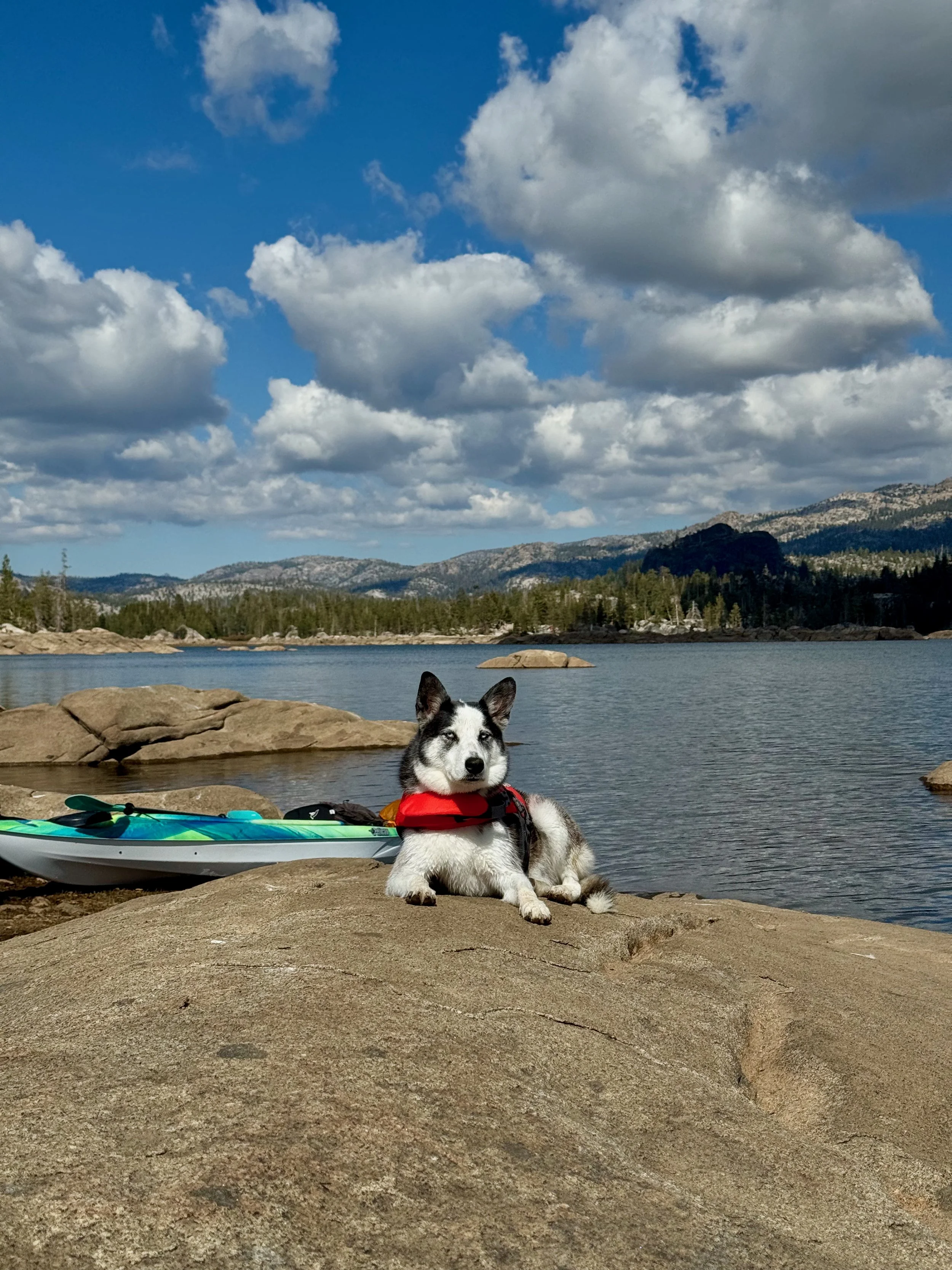 Luna taking a break on a granite island