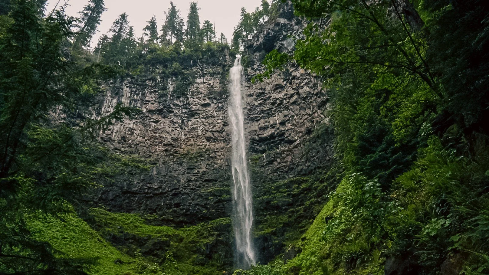 Dog-Friendly Waterfall Adventures in Southern Oregon: Exploring Little River Road and Highway 138