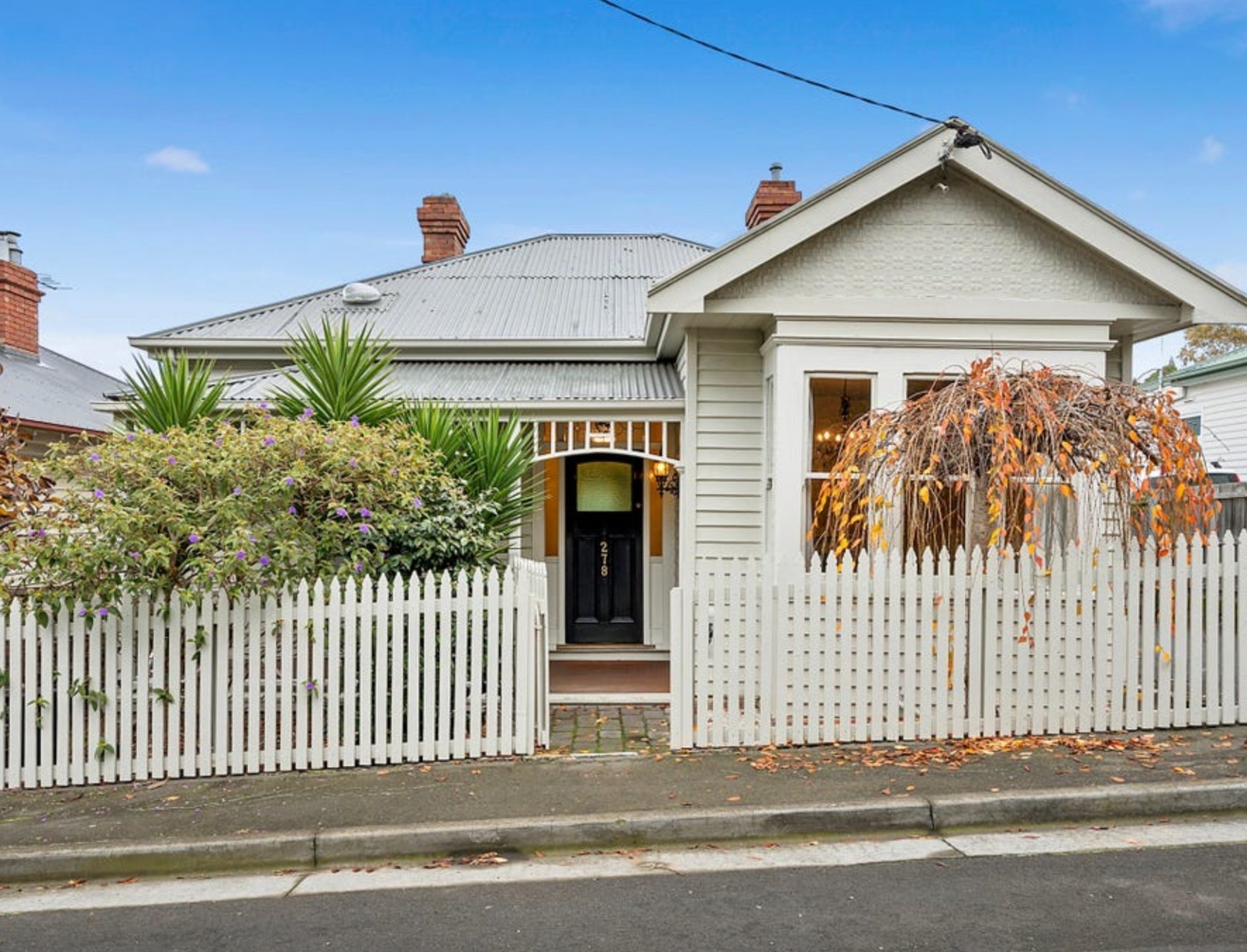 A white cottage-style house with a gray metal roof, white picket fence, and two large plants with purple flowers and orange-red autumn leaves in the front yard.