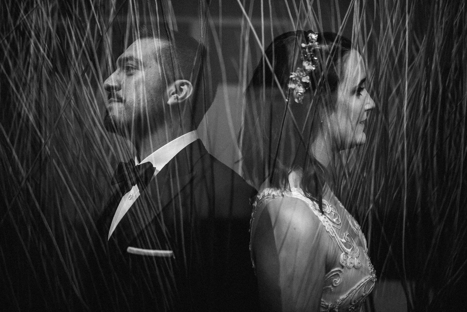 lanegritaphotography-231.jpg