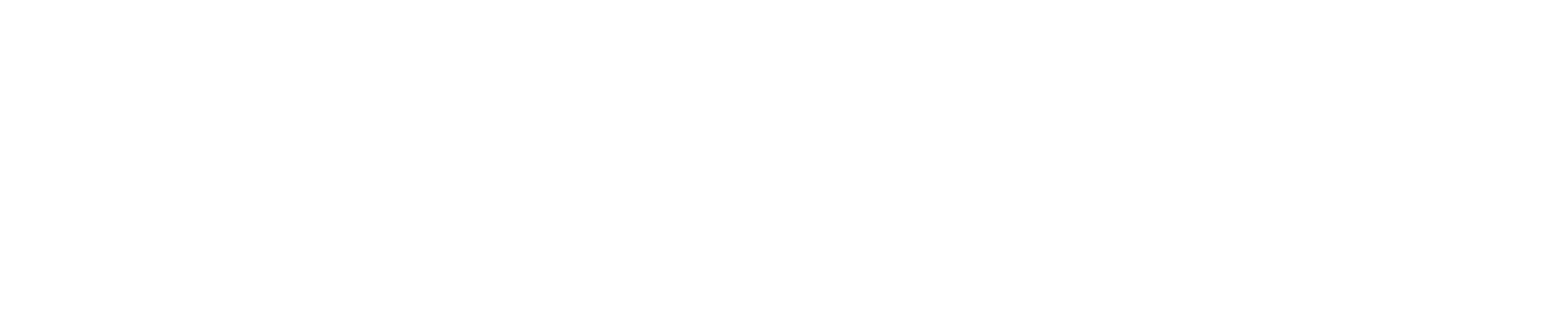 A white star-shaped symbol with a horizontal line extending from either side.