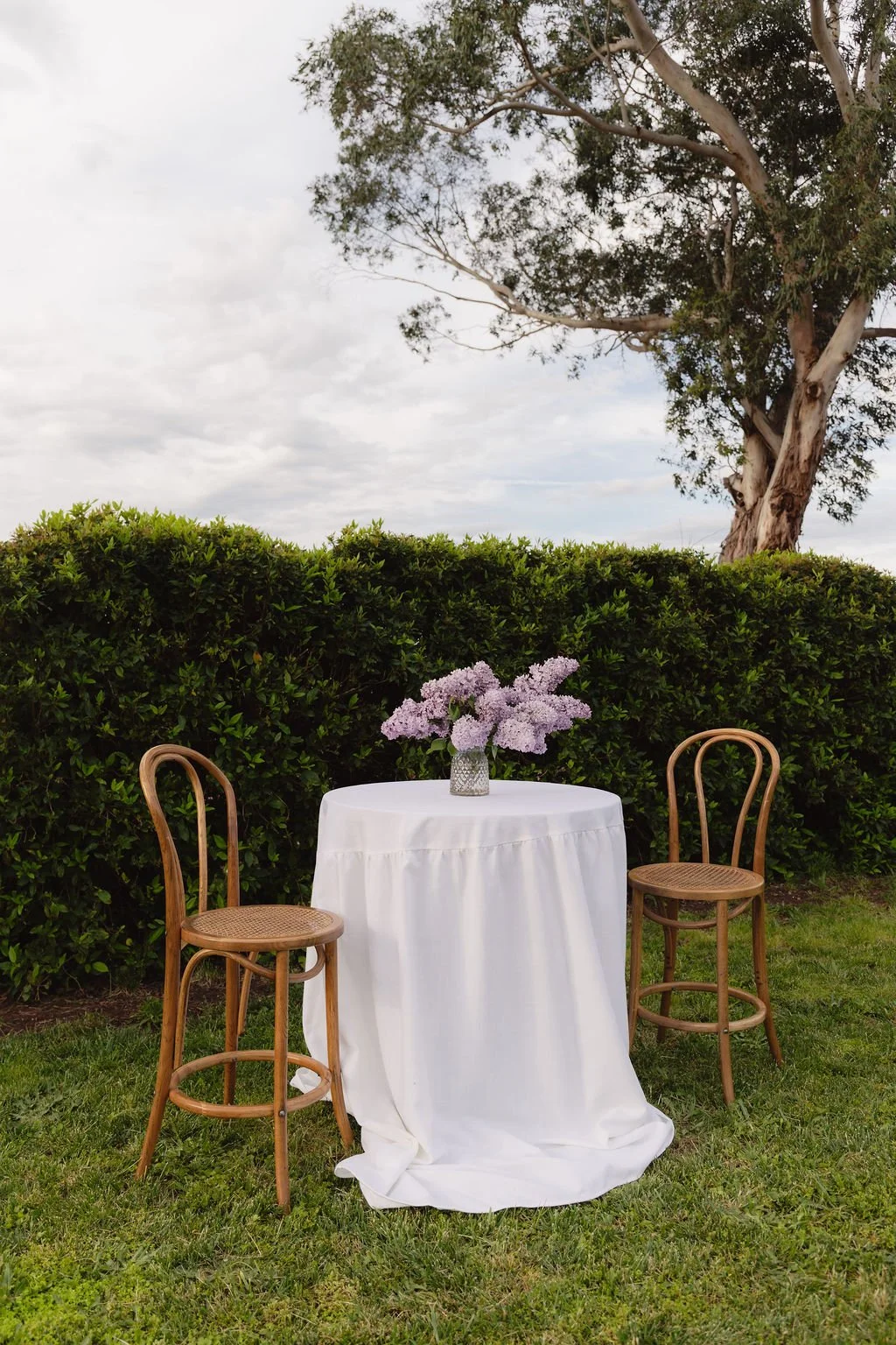 Pleated Cocktail Tablecloth, Round
- Crisp White