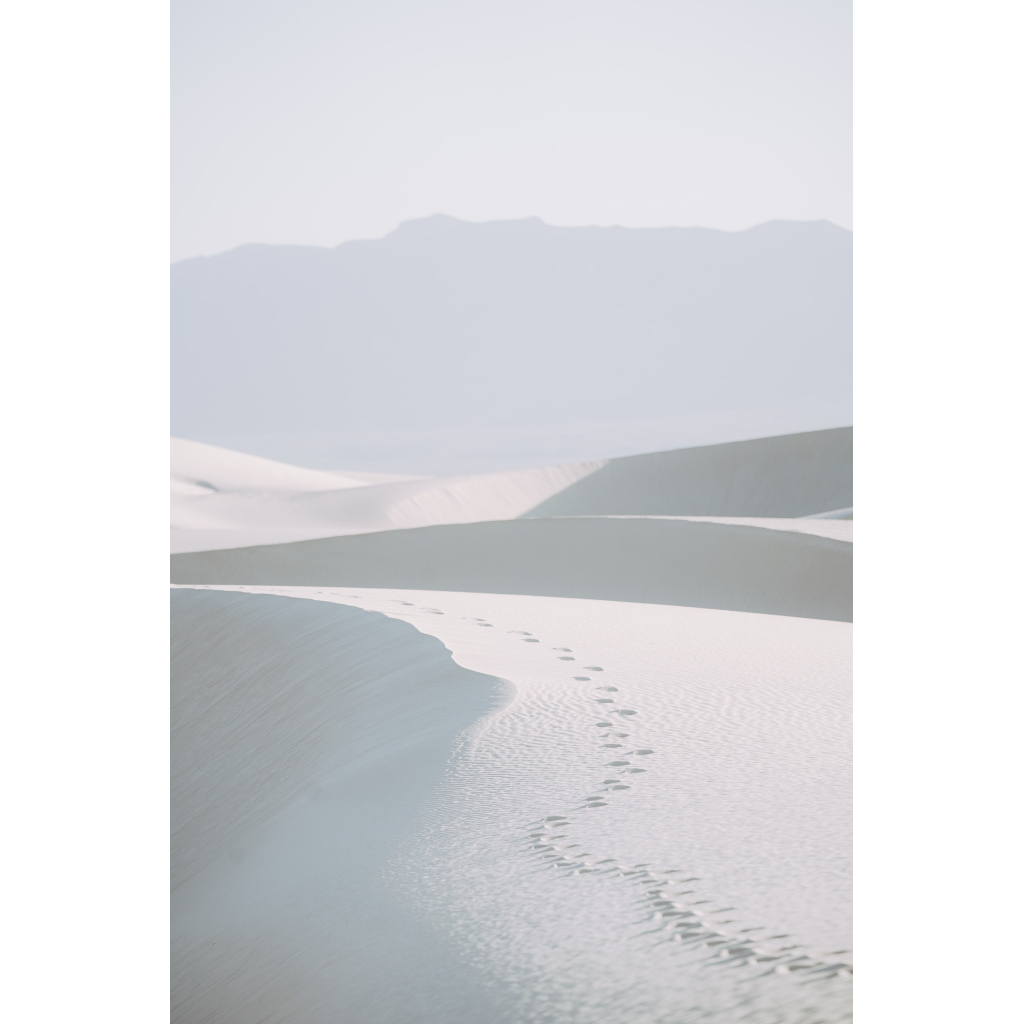 image_original_.png