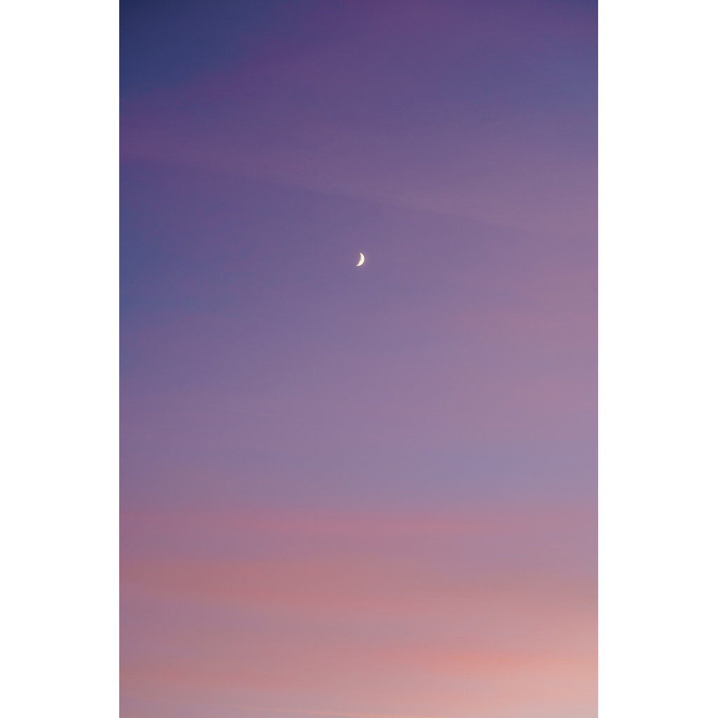 image_original_.png