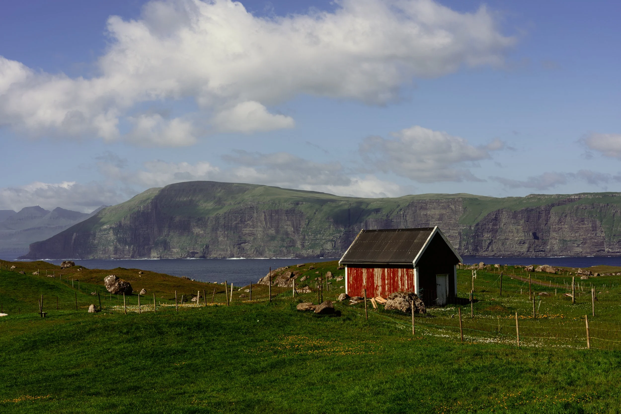 DSC03724.jpg