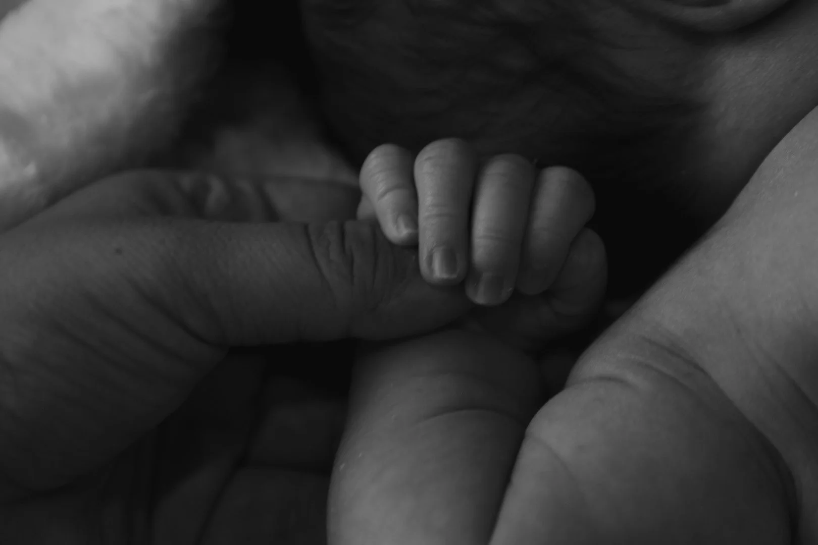 Close-up black and white photo of an adult hand holding a tiny newborn baby's hand.
