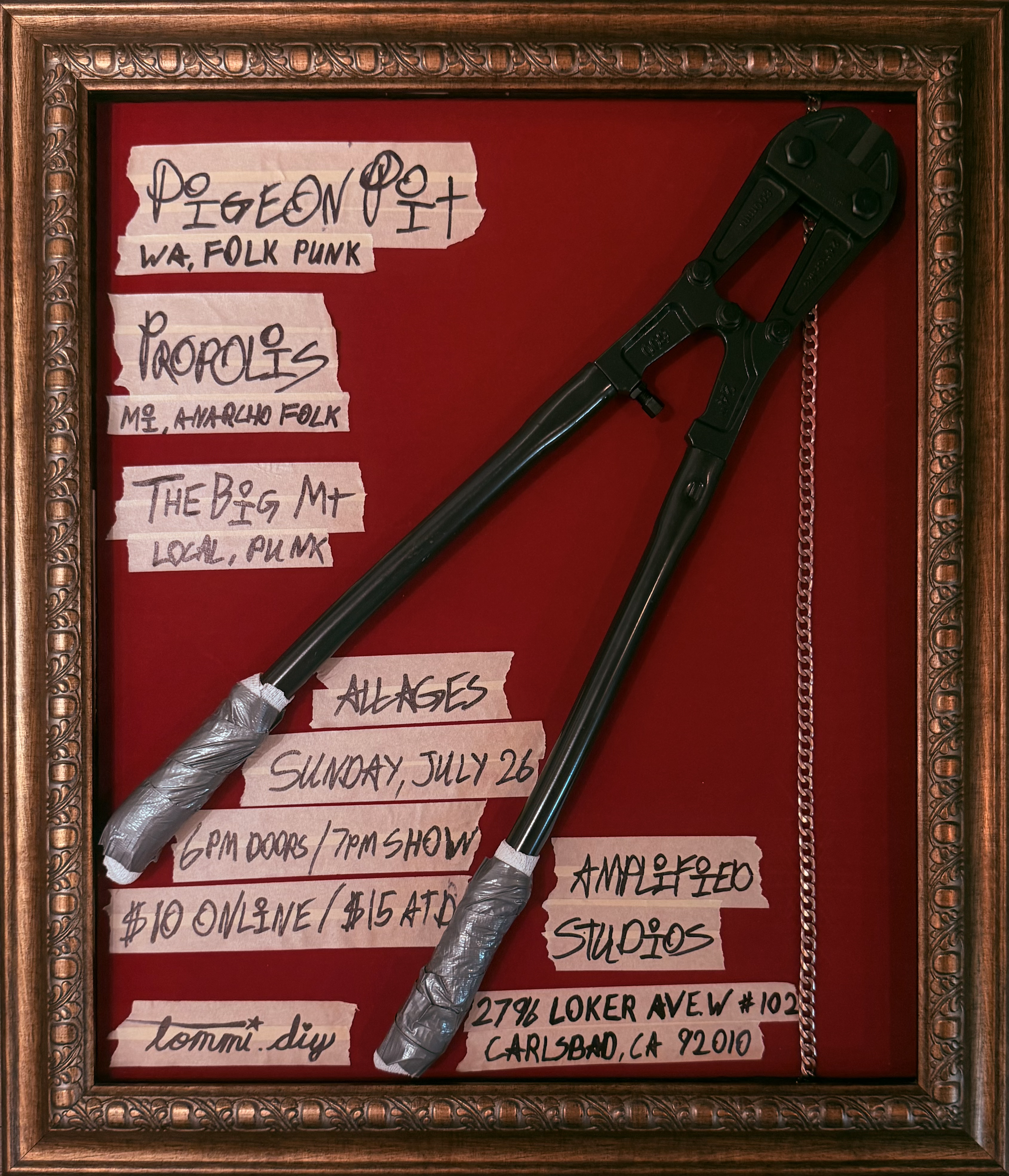 Pigeon Pit, Propolis +more @ Amplified Studios