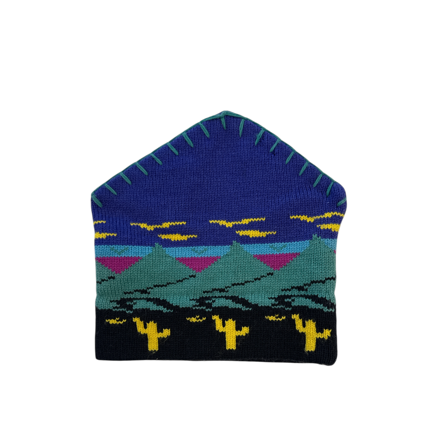 Vintage North Face Landscape and Cacti Beanie