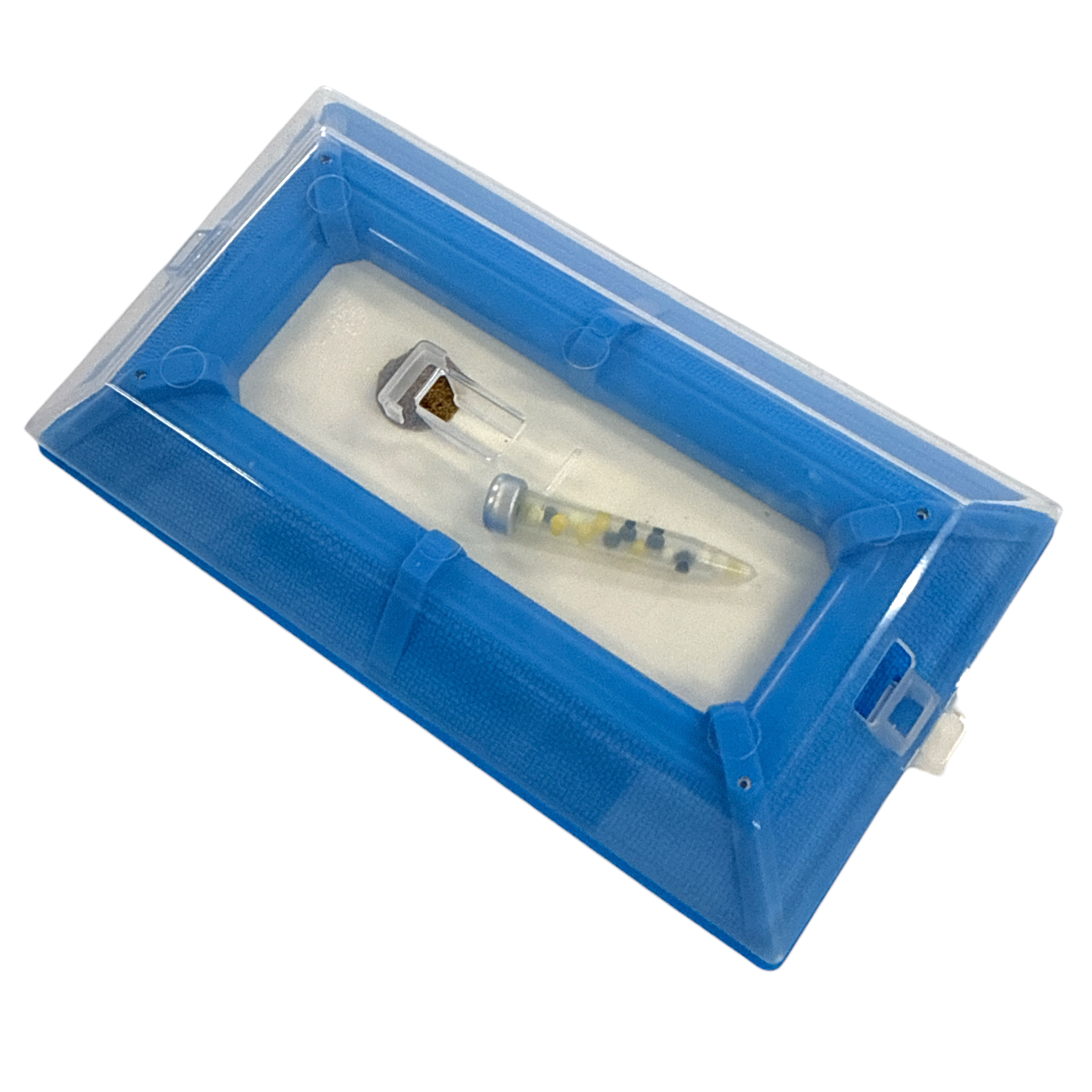 CARPET BEETLE TRAP WITH LURES