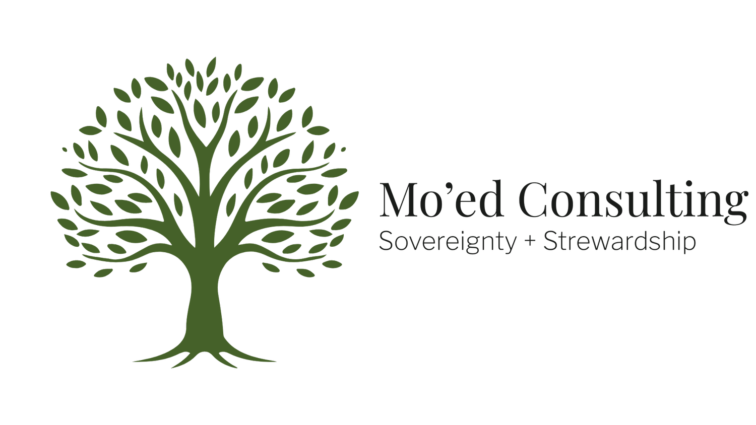 Mo&#39;ed Consulting