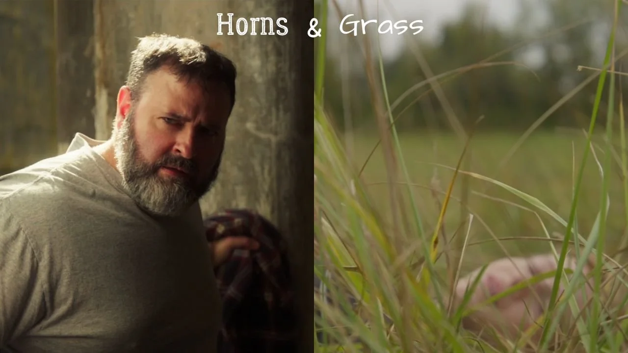 Horns & Grass
