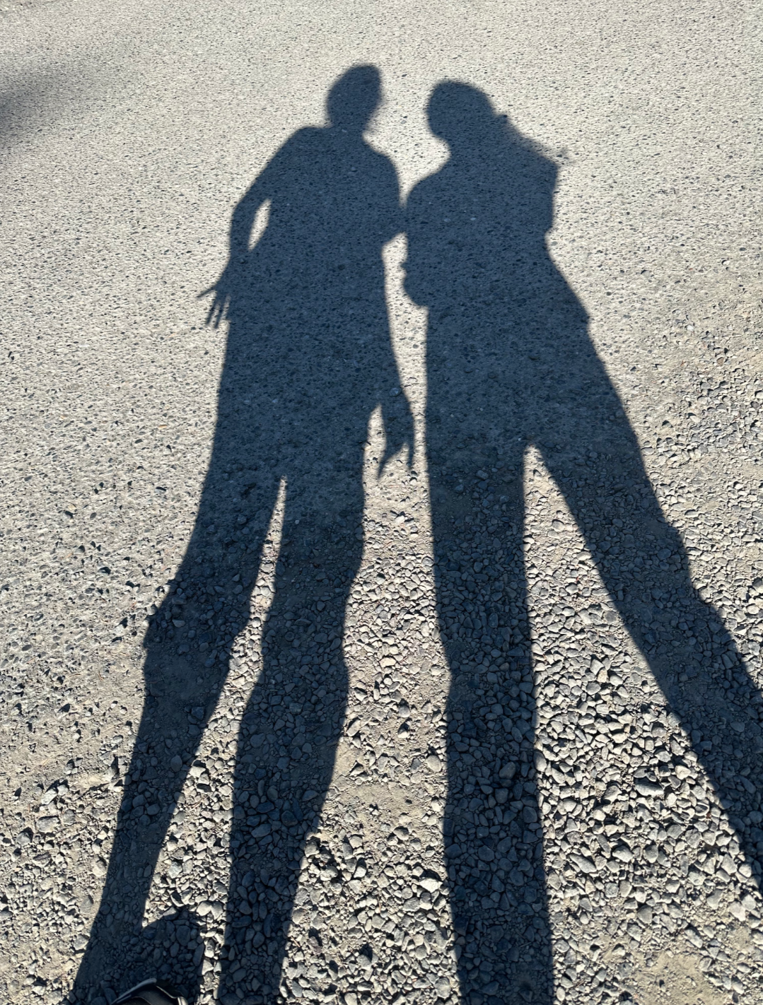 The Shadows