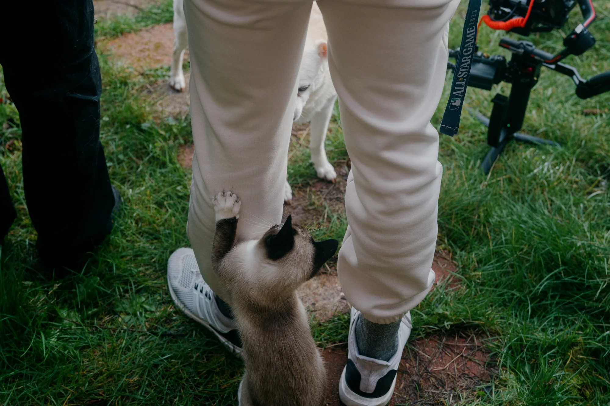 Uno (cat) and Colin (dog), two of the on-set pets courtesy of the Caldwells